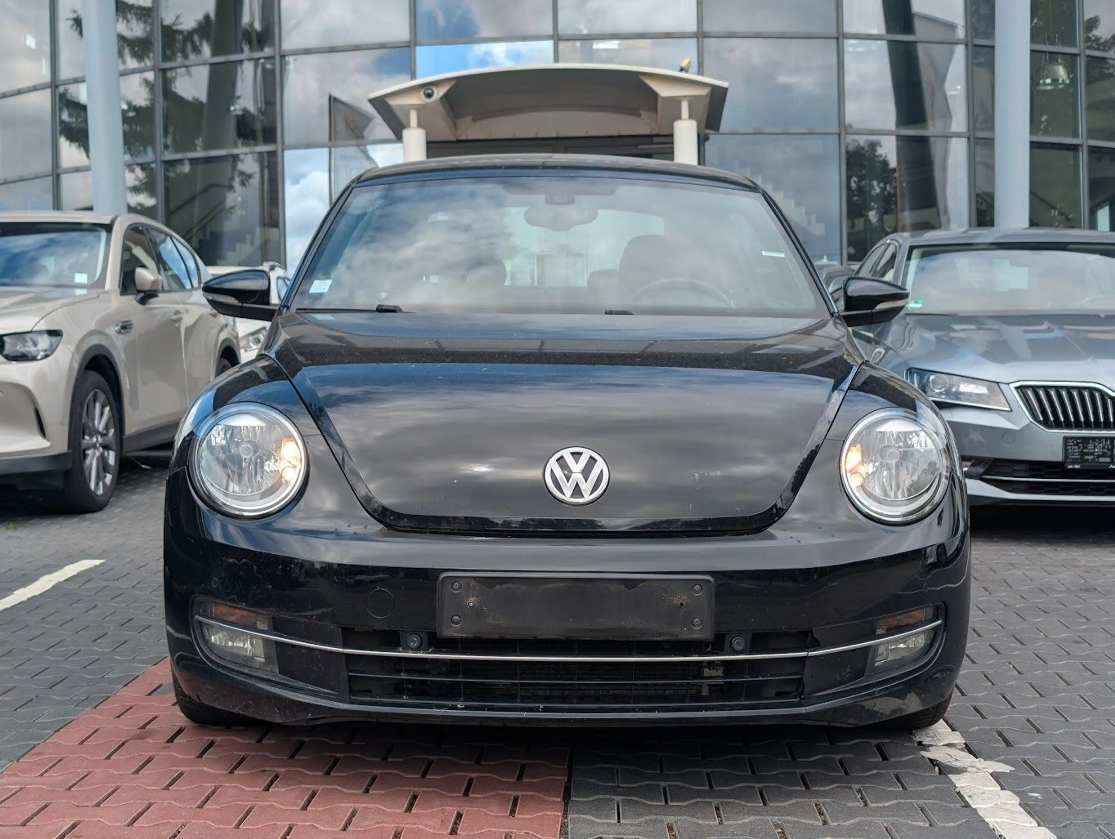 Volkswagen Beetle Beetle Fender Edition XENON. FENDER. PDC. TEMP — photo 5