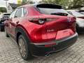 Mazda CX-30 e-Skyactive G140 Homura Aut. Rot - thumbnail 4