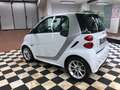 smart forTwo 800 40 kW coupé passion cdi Weiß - thumbnail 4