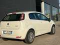 Fiat Punto 1.2 8V 3 porte Street Blanc - thumbnail 17