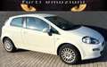 Fiat Punto 1.2 8V 3 porte Street Blanc - thumbnail 4