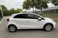 Kia Rio 1.4 CVVT Super Pack Automaat / Climate Control / C Blanc - thumbnail 4