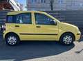 Fiat Panda 1.2 8V MyLive** Klima** Gelb - thumbnail 7