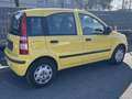 Fiat Panda 1.2 8V MyLive** Klima** Gelb - thumbnail 4