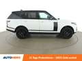Land Rover Range Rover 2.0 Hybrid Vogue Weiß - thumbnail 7