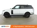Land Rover Range Rover 2.0 Hybrid Vogue Weiß - thumbnail 3