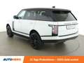 Land Rover Range Rover 2.0 Hybrid Vogue Weiß - thumbnail 4