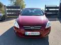 Kia Ceed / cee'd cee'd 1,6 CVVT **AUTOMATIK **Schiebedach ** Rot - thumbnail 4