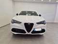Alfa Romeo Stelvio 2.2 Td 160 CV AT8 Sprint N1 Autocarro Cerchi19 Alb - thumbnail 2
