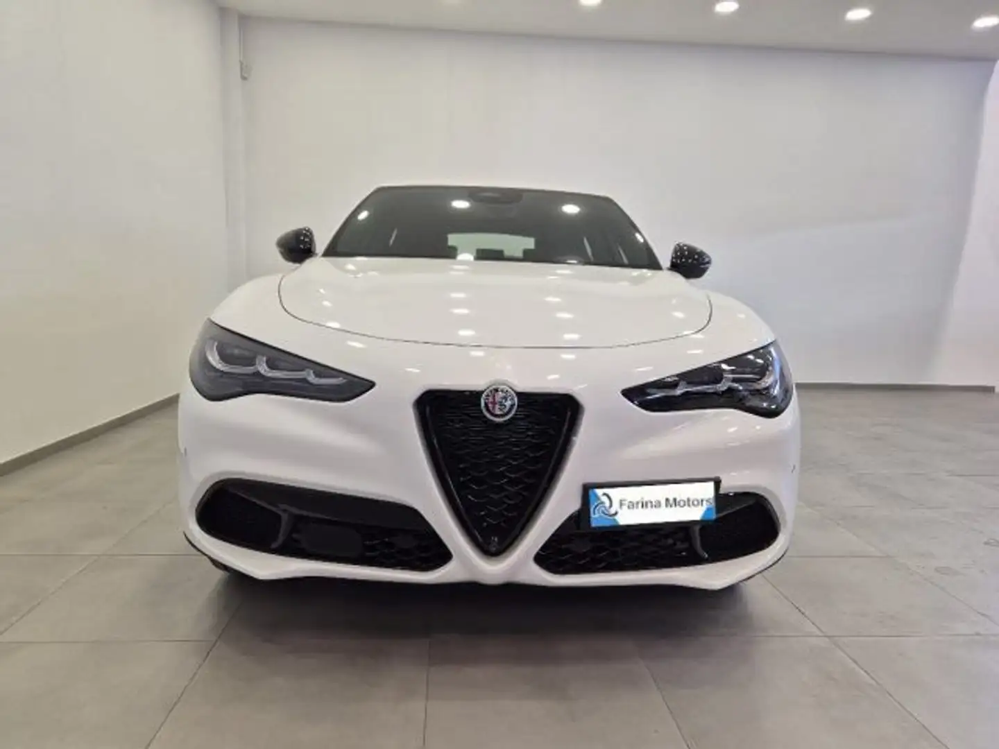 Alfa Romeo Stelvio 2.2 Td 160 CV AT8 Sprint N1 Autocarro Cerchi19 Alb - 2