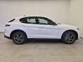 Alfa Romeo Stelvio 2.2 Td 160 CV AT8 Sprint N1 Autocarro Cerchi19 Alb - thumbnail 6