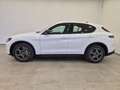 Alfa Romeo Stelvio 2.2 Td 160 CV AT8 Sprint N1 Autocarro Cerchi19 Alb - thumbnail 3