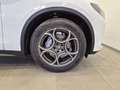 Alfa Romeo Stelvio 2.2 Td 160 CV AT8 Sprint N1 Autocarro Cerchi19 Alb - thumbnail 7