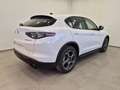 Alfa Romeo Stelvio 2.2 Td 160 CV AT8 Sprint N1 Autocarro Cerchi19 Alb - thumbnail 5
