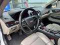 Cadillac ATS ATS Coupe 2,0L Turbo AWD Premium Premium Wit - thumbnail 14