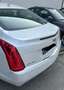 Cadillac ATS ATS Coupe 2,0L Turbo AWD Premium Premium Wit - thumbnail 3