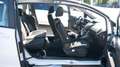 Ford B-Max Trend Weiß - thumbnail 15