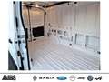 Ford Transit 350 L3H2 Lkw VA Trend SYNC 4 R-KAMERA KLIMAAUT. White - thumbnail 10