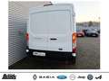 Ford Transit 350 L3H2 Lkw VA Trend SYNC 4 R-KAMERA KLIMAAUT. White - thumbnail 6
