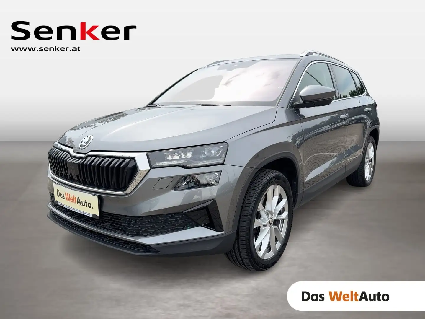 Skoda Karoq 4x4 Style TDI DSG Šedá - 1