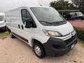 Citroen JUMPER L2H1 2.2HDI 140CV E6D-T  PREZZO+IVA Weiß - thumbnail 1