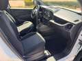 Fiat DOBLO 1.3MJT 95CV E6D-T  PREZZO + IVA Bianco - thumbnail 6