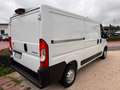 Citroen JUMPER L2H1 2.2HDI 140CV E6D-T  PREZZO+IVA Weiß - thumbnail 4