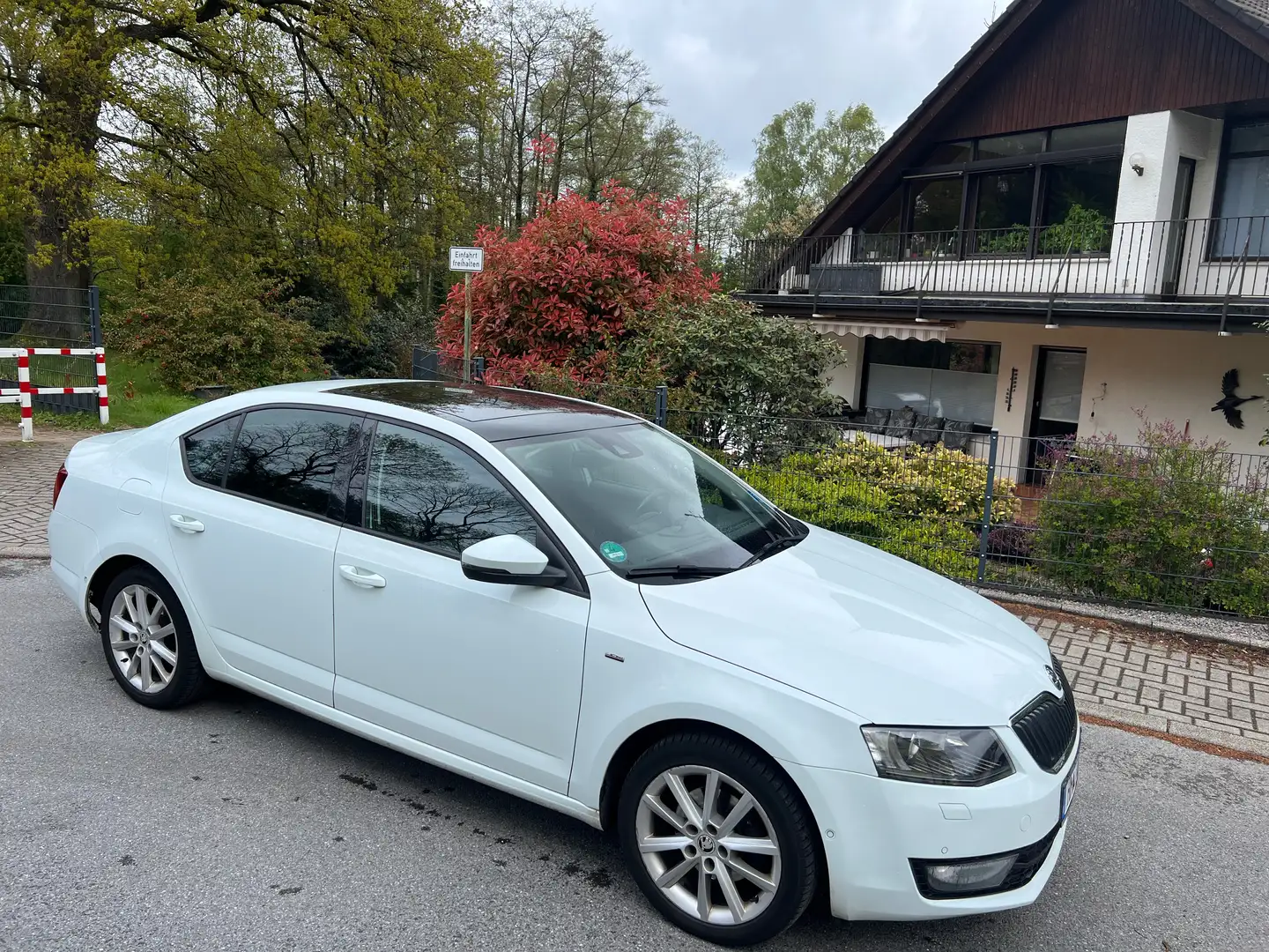 Skoda Octavia 2.0 TDI (Green tec) Joy.Schiebedach,Panoramadach Blanc - 2