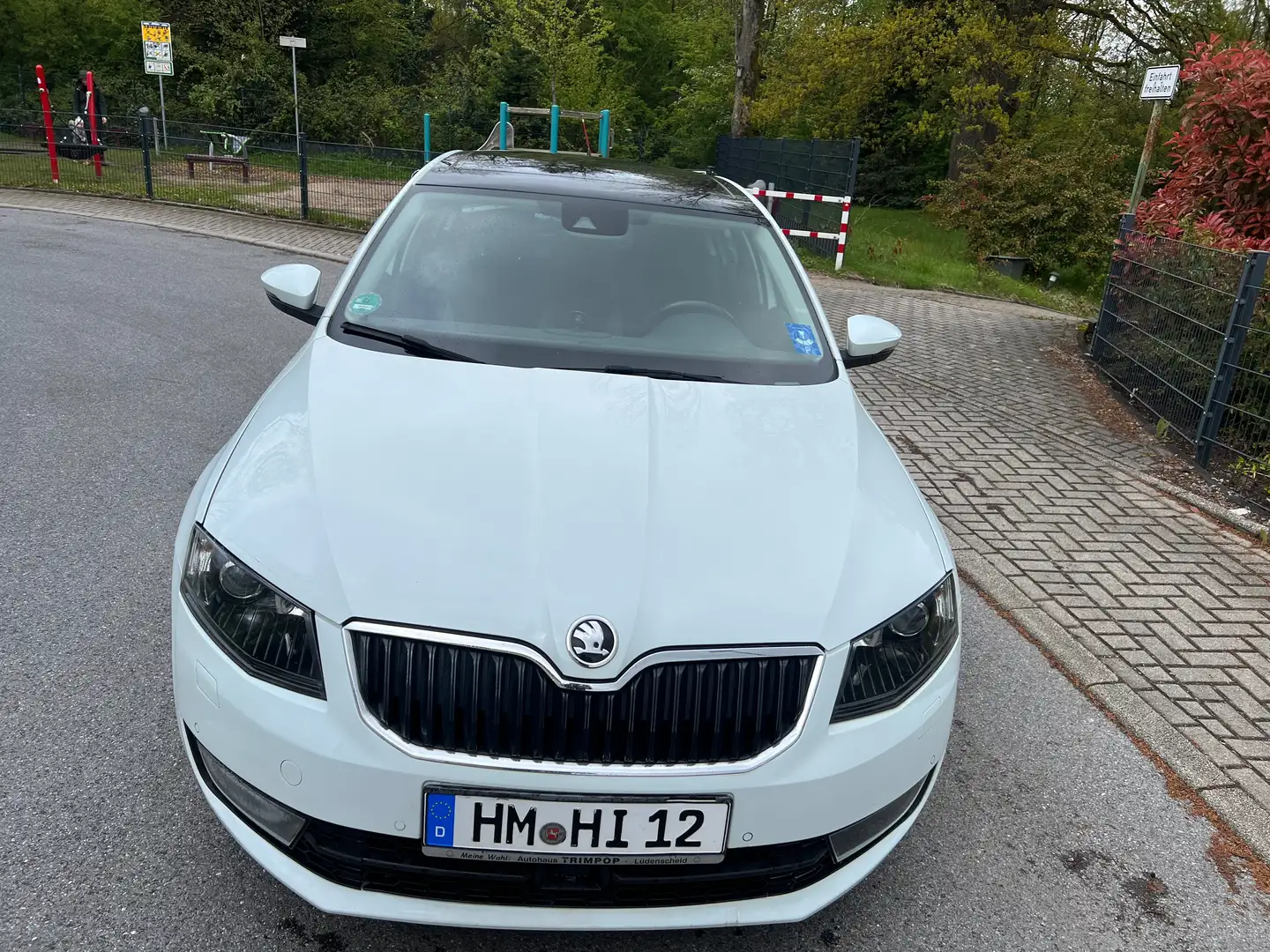 Skoda Octavia 2.0 TDI (Green tec) Joy.Schiebedach,Panoramadach Blanc - 1