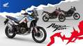 Honda CRF 1100 Aktion Seitenkoffer kostenlos - thumbnail 14