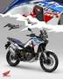 Honda CRF 1100 Aktion Seitenkoffer kostenlos - thumbnail 16
