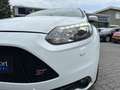Ford Focus 2.0 EcoBoost 250PK ST-3 80dKM!|Leder|Recaro|Navi|X Blanco - thumbnail 16