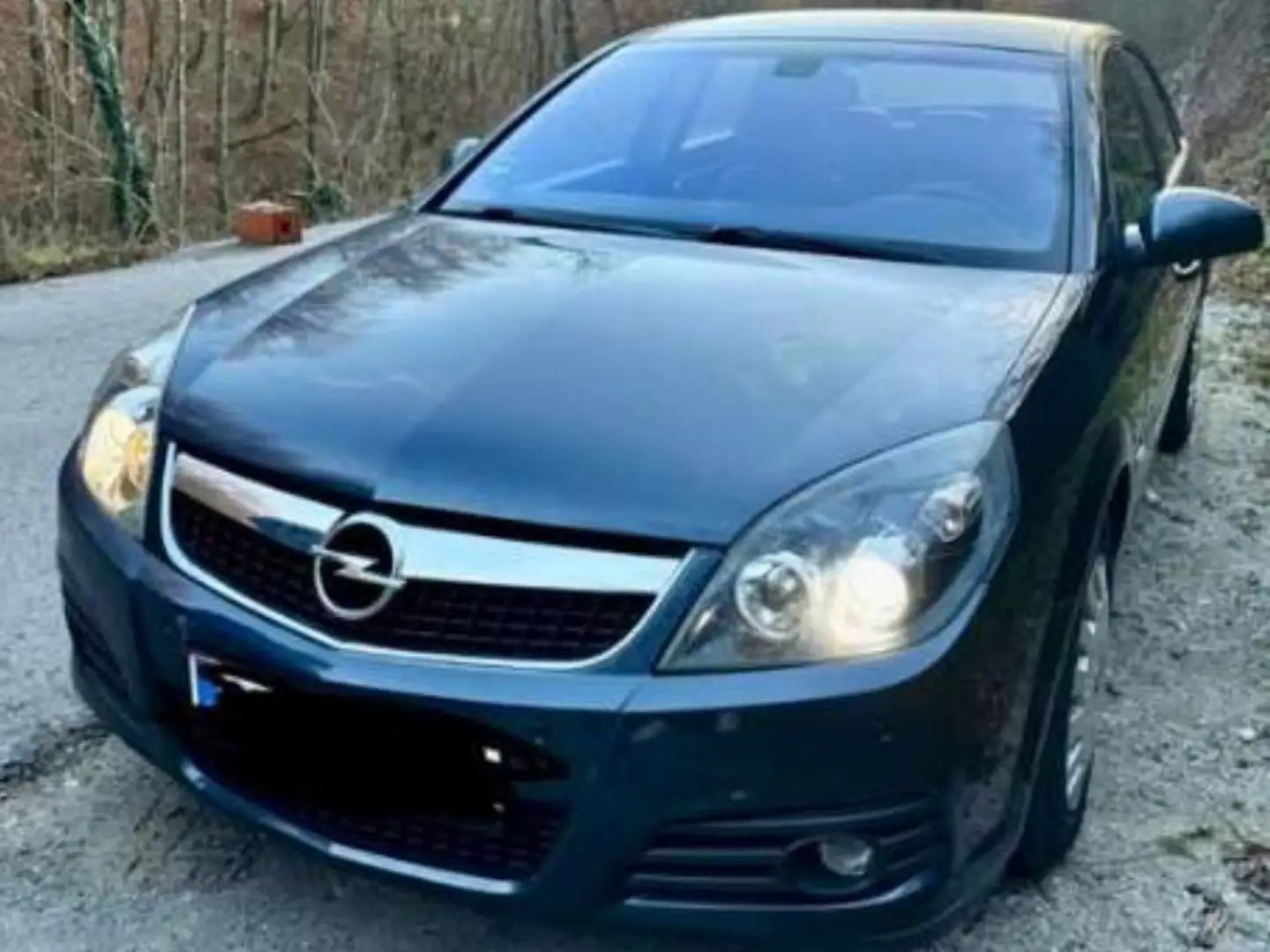 Opel Vectra Edition Business Plus 1,9 CDTI Blau - 2