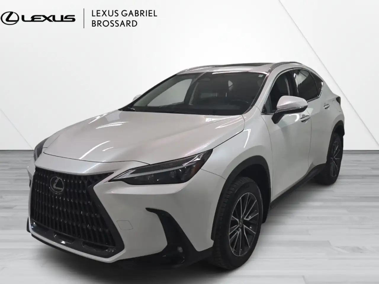 2022 Lexus NX