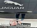 Jaguar XF Sportbrake Prestige AWD Smartlink AHK Leder Noir - thumbnail 19