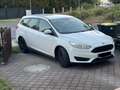 Ford Focus Focus+1.6+TI-VCT+Trend Weiß - thumbnail 1