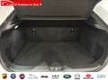 Mazda CX-30 2.0 Skyactiv-G Evolution 2WD 90kW - thumbnail 7