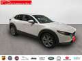 Mazda CX-30 2.0 Skyactiv-G Evolution 2WD 90kW - thumbnail 3