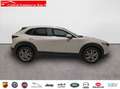 Mazda CX-30 2.0 Skyactiv-G Evolution 2WD 90kW - thumbnail 4