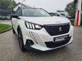 Peugeot 2008 BlueHDi 130 GT Autom. Leder, PANO, FOCAL Sounds... Weiß - thumbnail 6