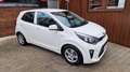 Kia Picanto Edition 7 SHZ, LHZ, 2 Hand Weiß - thumbnail 2