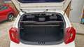 Kia Picanto Edition 7 SHZ, LHZ, 2 Hand Weiß - thumbnail 7
