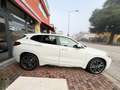 BMW X2 Sdrive18d Msport auto Bianco - thumbnail 7