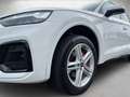 Audi Q5 Sportback S line 40 TDI quattro S tronic AHK Weiß - thumbnail 4