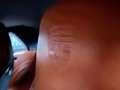 Porsche 997 997.2 Carrera PDK Cabriolet / Facelift / BTW aftr. Blanc - thumbnail 17