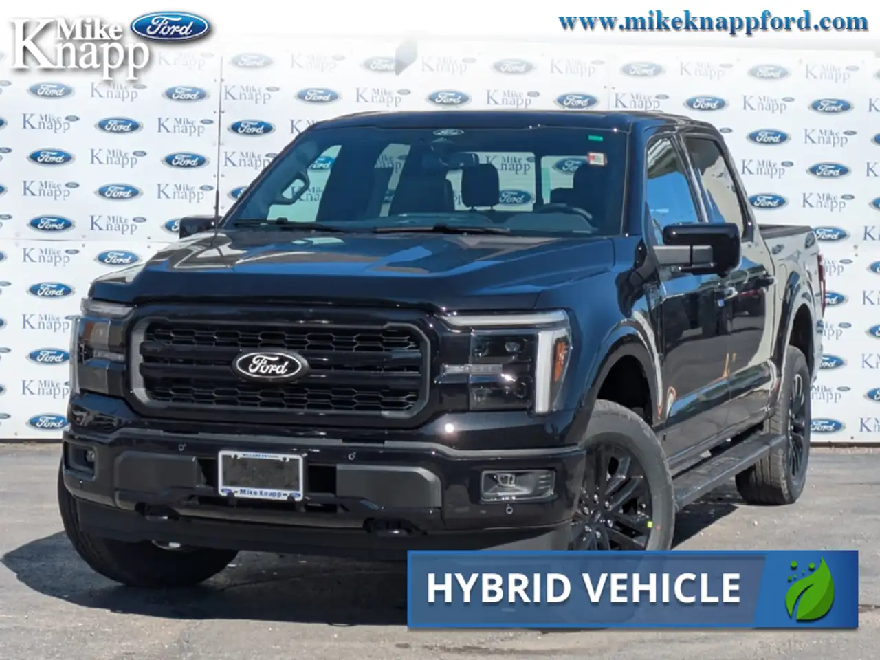 2026 Ford F 150