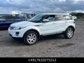 Land Rover Range Rover Evoque Pure SD4 Led Meridian Biały - thumbnail 2
