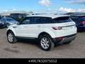 Land Rover Range Rover Evoque Pure SD4 Led Meridian Wit - thumbnail 11