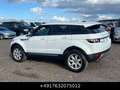 Land Rover Range Rover Evoque Pure SD4 Led Meridian Weiß - thumbnail 12
