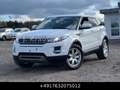 Land Rover Range Rover Evoque Pure SD4 Led Meridian Weiß - thumbnail 1